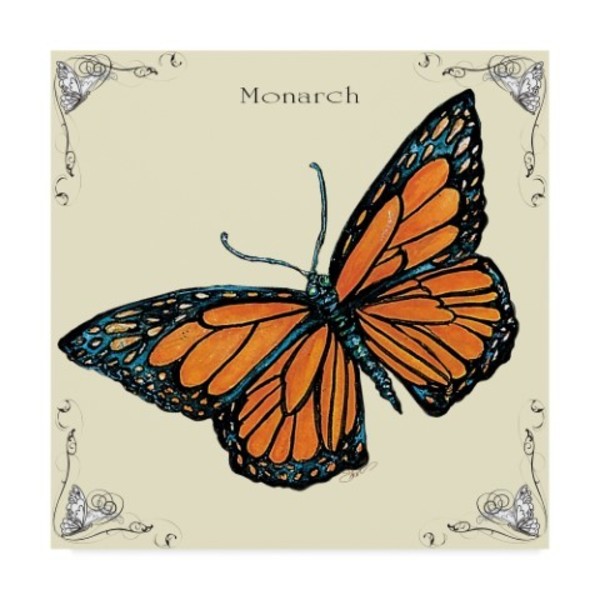 Sher Sester 'Butterfly Monarch' Canvas Art, 35x35